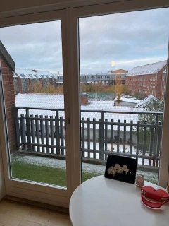 Winter light through the office window: snow on the balcony rail and on the Copenhagen rooftops beyond, with orchids on a round white table.