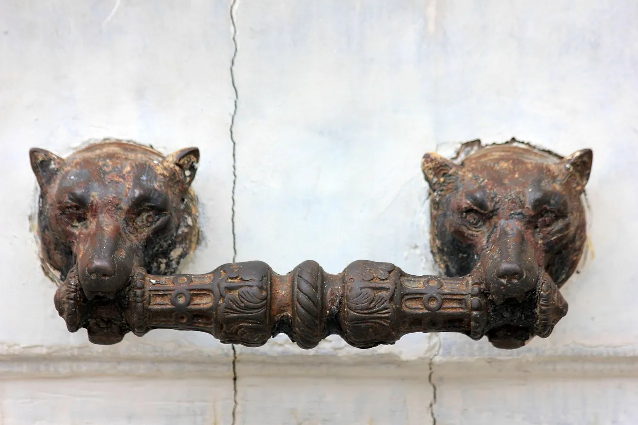 Door handle, door, rusty door handle